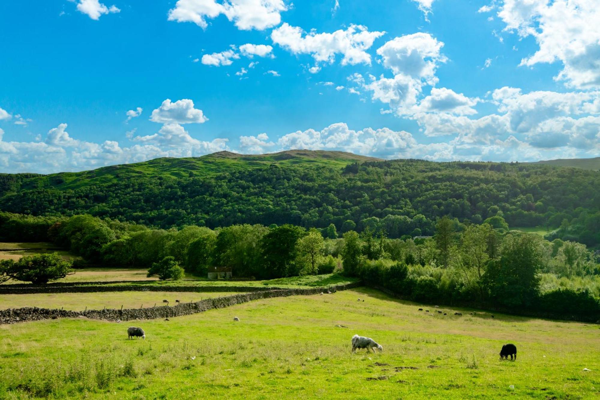 Bridge End Farm Cottages Boot ภายนอก รูปภาพ
